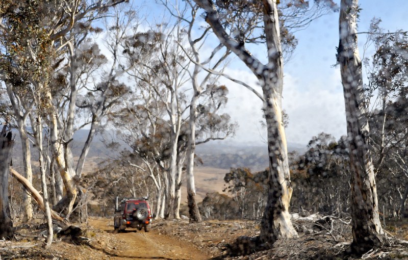 How not to cook a&nbsp;stew…